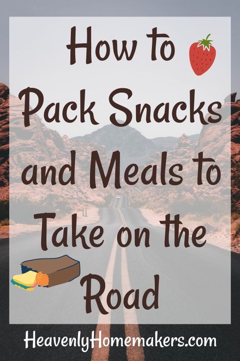 Roadtrip Snack Organization, Road Trip Foods For Adults, Homemade Snacks For Traveling, Snacks For Side By Side Ride, Road Trip Snack Organization, Packing Snacks For Road Trip, On The Road Lunch Ideas, Healthy Travel Snacks The Road, Snacks For Road Trip Adults