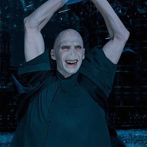 Voldemort Meme, Voldemort Costume, Voldemort Funny, Fantastic Beasts Movie, Funny Books, Harry Potter Painting, Snape Harry Potter, Snape Harry, Ralph Fiennes