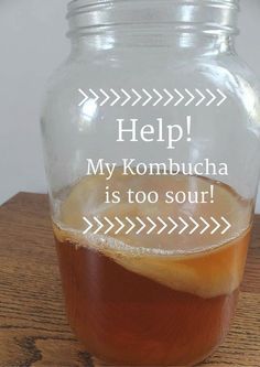 Help My Kombucha is too sour! ~Cultured Food Life Jun Kombucha, Kombucha Recipes, Make Kombucha, Fermented Drinks, Kombucha Flavors, Cultured Food, Kombucha Scoby, How To Brew Kombucha, Homemade Kombucha