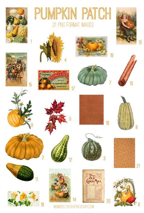 Check out Fall Pumpkin Patch Digital Image bundle! These images and printables are perfect for DIY Fall Crafts and Junk Journals. Pumpkin Ephemera, Diy Fall Crafts, Fall Pumpkin Patch, Photoshop Elements Tutorials, Journal Nature, Photoshop Brush Set, The Graphics Fairy, How To Make An Envelope, Photo Layers