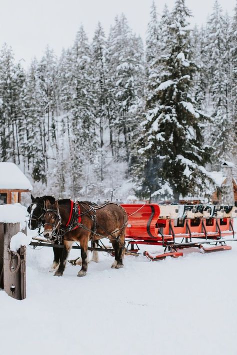 Christmas Event Ideas, French Chalet, Winter Lodge, Leavenworth Washington, Christmas Lodge, Christmas Shoot, Dashing Through The Snow, Christmas Event, Christmas Events