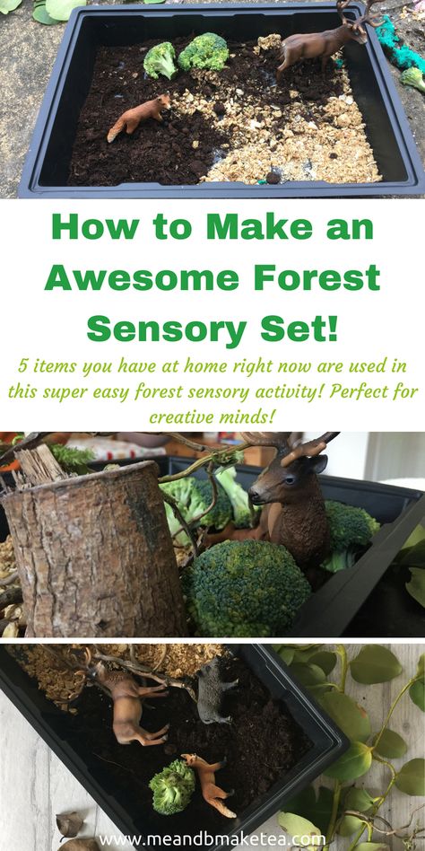 Want to make a really fun forest sensory play set with minimal time and effort? Here i share some essentials for fun sensory play with toddlers! Perfect for inspiring creative minds! European Forest, Kids Birthday Crafts, Forest Schools, Forest Dweller, Room Activities, Outdoor Learning Activities, Infant Room, Sensory Ideas, Sensory Activities Toddlers