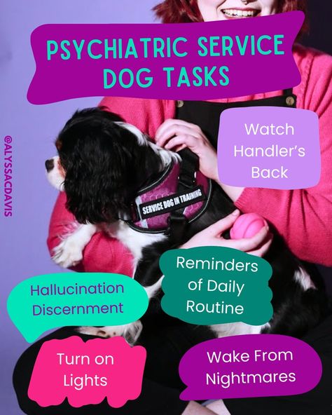 🐕‍🦺 Confused about psychiatric service dogs? You're not alone! Finding accurate info online is a nightmare. When I started researching, it felt overwhelming and confusing. Here's the thing: Getting a service dog isn't the right fit for everyone (there's some stuff I REALLY wish I knew beforehand!), but for some, they can be life-changing disability aids. What do you want to know about the process? Drop your questions below, and I'd be happy to share what I've learned on this journey! Some q... Training A Service Dog, Therapy Modalities, How To Train Your Own Service Dog, Disney Service Dog, Psychiatric Service Dog Gear, Psychiatric Service Dog, Food Homemade, Youre Not Alone, Here's The Thing