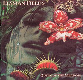 Elysian Fields/ New York NY Elysian Fields, Funky Art, Flower Field, Album Art, Pretty Art, Drawing Reference, Aesthetic Art, Collage Art, Art Boards