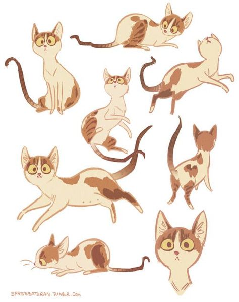 Animation Disney, Cat Reference, Cat Character, Wow Art, Cats Illustration, Animal Sketches, 판타지 아트, 영감을 주는 캐릭터, Character Design References