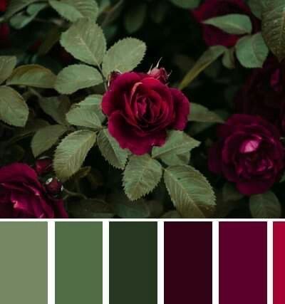 Burgundy And Green Palette, Eggplant And Green Color Schemes, Magenta And Green Bedroom, Wine Green Aesthetic, Wine And Green Color Palette, Green Burgundy Living Room, Green Burgundy Color Palette, Red And Green Color Scheme, Burgundy And Green Color Palette