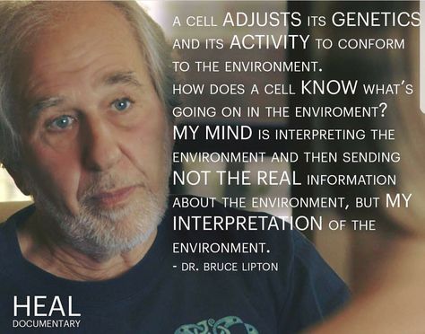 Your thoughts, perceptions and beliefs can actually change your genetic expression and your cellular activity. What information are you sending your body via your mindset? Biology Of Belief, Bruce Lipton, Cosmic Consciousness, Medical Medium, Joe Dispenza, Gratitude Affirmations, Spiritual Words, Be Mindful, Quantum Physics