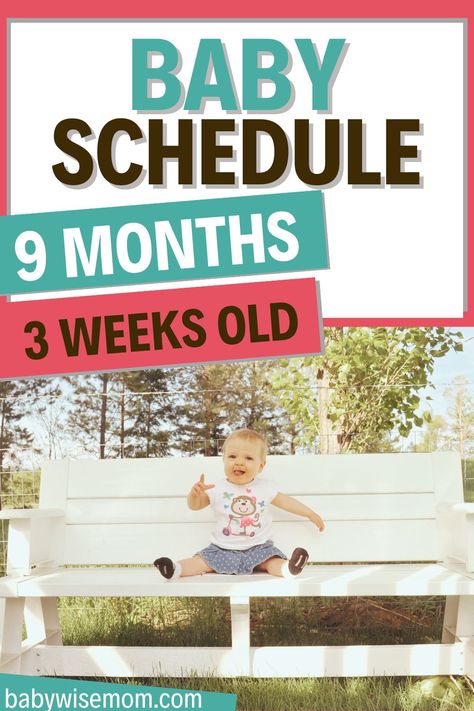 43 week old baby schedule and routine! 9 month old schedule. Baby schedule for baby’s 43rd week. Baby schedule and routine for the forty-second week of life. 42-week-old baby routine and daily life. Learn about sticking to a sleep routine and teaching your 9 month old to obey. 11 Month Old Schedule, Diaper Changing Hacks, 11 Month Old Baby, Baby Wise, Baby Routine, Baby Schedule, Help Baby Sleep, Newborn Hacks, Kids Schedule