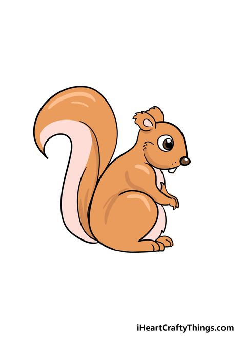 How to Draw A Squirrel – A Step by Step Guide Squirrels Drawing, Squirrel Drawing Easy, Draw A Squirrel, Aril Tatum, Squirrel Drawing, Face Step By Step, Body Draw, Brush Pen Art, How To Draw Steps