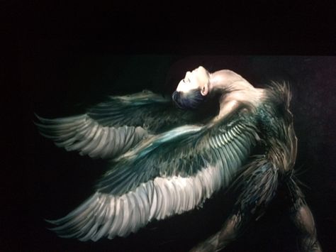 Black Swan Ballet Aesthetic, Swan Wings Drawing, Black Swan Wings, Black Swan Art, Black Swan Movie, Iphone Wallpaper Modern, Swan Wings, Black Swan 2010, Ballet Beauty