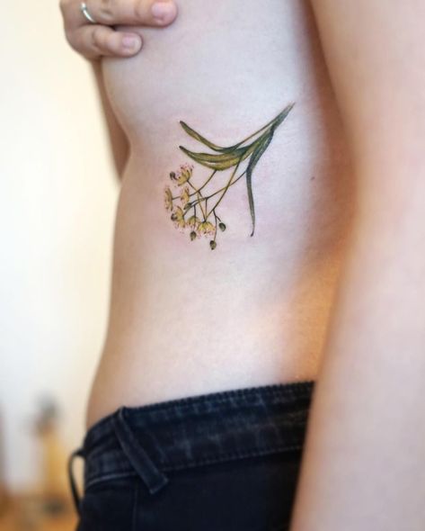 Botanisches Tattoo, Linden Flower, Tattoo Font Styles, Family Quotes Tattoos, Botanical Tattoos, Tattoo Tree, Sacred Tree, Lime Tree, Beautiful Tattoo