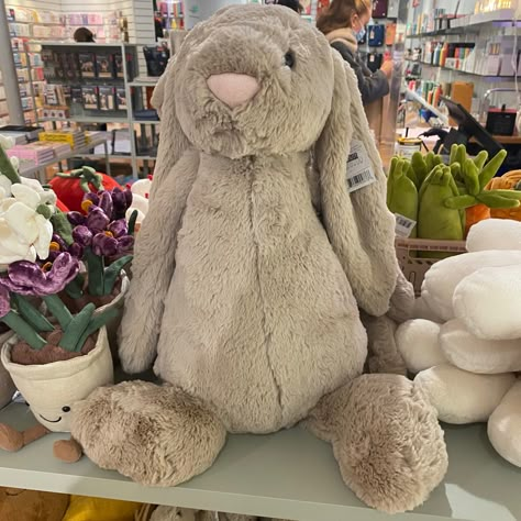 my pic <3 | beige bashful bunny jelly cat rabbit teddy aesthetic Big Stuffed Animals Aesthetic, Jelly Cat Rabbit, Teddies Aesthetic, Jelly Cat Aesthetic, Jelly Cat Bunny, Teddy Aesthetic, Jellycat Aesthetic, Rabbit Teddy Bear, Jellycat Bunnies