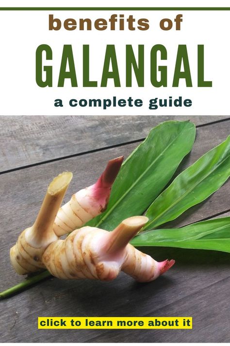 A Pinterest pin with a collage of fresh galangal root and simple, easy-to-read text. Learn about galangal's benefits, how to use it in cooking, and tips for buying and storing it. Ideal for food lovers and healthy eaters. #Galangal101 #CookingTips #HealthyEating Galangal Root, Healthy Blood Sugar Levels, Spices And Herbs, Spice Blends, Medicinal Herbs, Flavorful Recipes, Cooking Tips, How To Use, Ginger