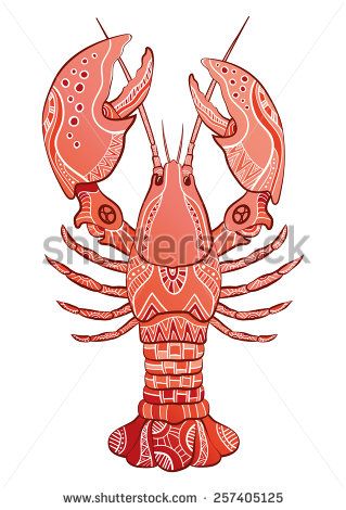 Shellfish Illustration, Shellfish Art, Lobster Artwork, Angle Reference, Lobster Tattoo, Lobster Stock, Mother Earth Art, Lobster Art, Printmaking Projects