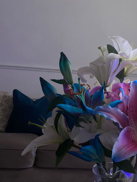 Gorgeously Gorgeous Lilies 🌺 🌹🪻 #lilies #flowers #beautifulflowers #aesthetic #pinkflower #blueflower #purpleflower Lilies Flowers, Purple Lily, Lily Flower, Pretty Flowers, Purple Flowers, Blue Flowers, Pink Flowers, Beautiful Flowers, Lily