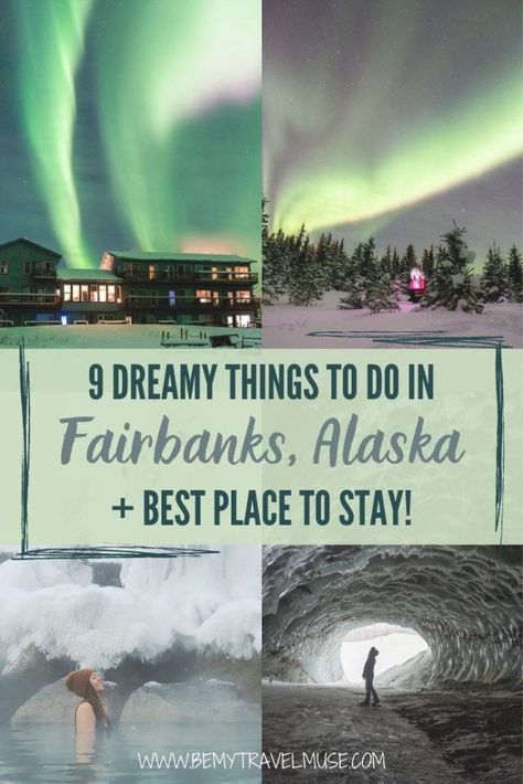 The Best Things to do in Fairbanks, Alaska Fairbanks Alaska Winter, Travel In Usa, Alaska Travel Guide, Alaska Summer, Alaska Road Trip, Alaska Northern Lights, Alaska Winter, Alaska Trip, Alaska Adventures