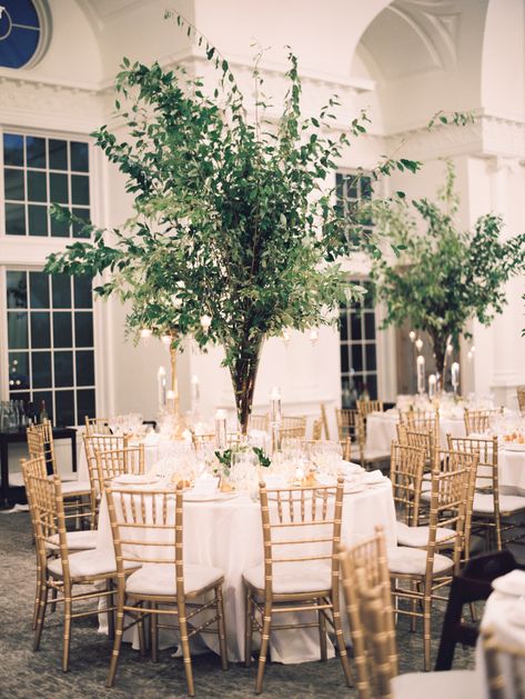 The Dewberry Wedding, All Greenery Wedding, Tall Table Centerpieces, Tree Centrepiece Wedding, Tree Centrepiece, Cheap Wedding Table Centerpieces, Centrepiece Wedding, Greenery Design, Green Weddings