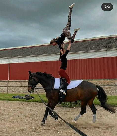 Vaulting Horse, Vaulting Equestrian, Horse Vaulting, Horse Tack Rooms, Tack Rooms, Trick Riding, Horse Videos, New Character, Legolas