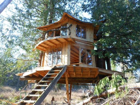 Sunray Kelley's Treehouse | The Shelter Blog Earth Dome, Cultural Anthropology, Beautiful Tree Houses, Hood River Oregon, Build A Table, Cool Tree Houses, Tree House Designs, Hood River, Tree Houses