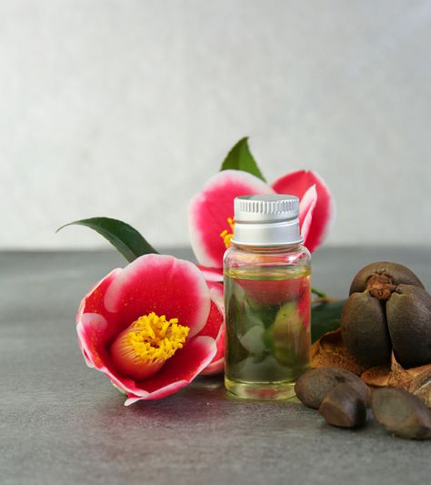 Camellia Oil For Hair: What Are The Benefits Ayurvedic Hair Oil, Fresh Aloe Vera Gel, Aloe Vera Benefits, Magic Potions, Help Hair Grow, Coconut Benefits, Calendula Oil, Aging Hair, Oil For Hair