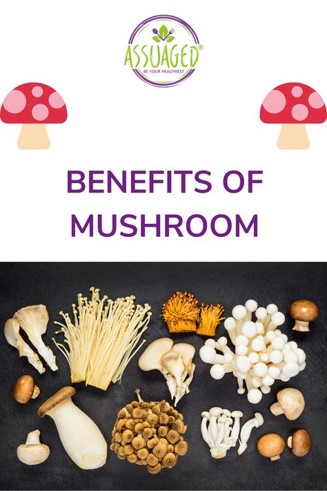 Do vegans eat Mushroom, Benefits of different varieties of mushrooms Benefits Of Mushrooms, Mushroom Guide, Health Benefits Of Mushrooms, Growing Mushrooms At Home, Mushroom Benefits, Avocado Health Benefits, Turkey Tail Mushroom, Shitake Mushroom, Edible Mushrooms