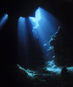 Did a scary cave dive. Vanua Levu Island. Underwater At Night, Underwater Perspective, Night Diving, Underwater Night, Light Underwater, Travel Fiji, Fiji Culture, Fly To Fiji, Loggerhead Turtle