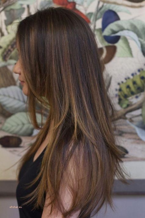 Asian Hair With Highlights, Dark Hair Tan Skin, Asian Hair Highlights, Down Hairstyles For Long Hair, Haircut Inspo, Lighter Hair, Brown Hair Inspo, Black Hair With Highlights, Dark Hair With Highlights