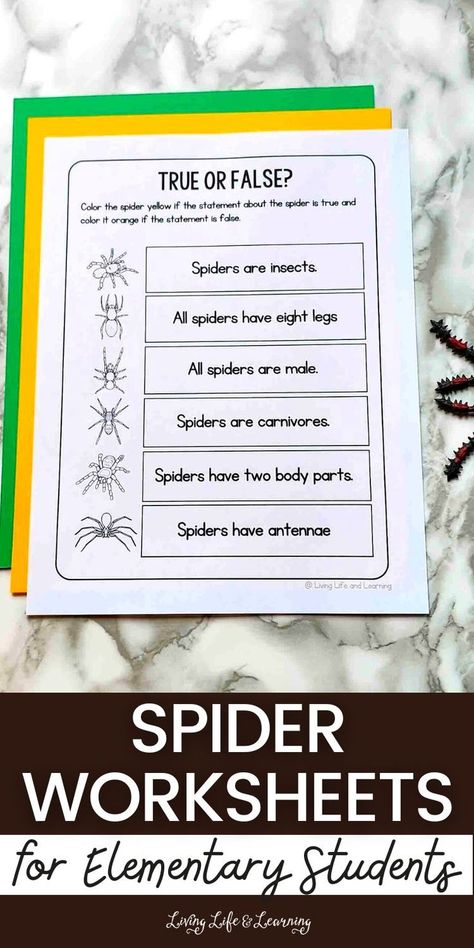 Spider Worksheets for Elementary Students Worksheets For Elementary Students, Spider Lessons, Worksheets For Elementary, Halloween Lesson, Animal Activities For Kids, Insect Activities, Bug Crafts, Student Living, Life Learning