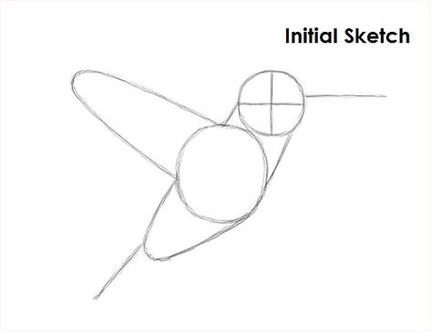 Hummingbird Drawing Sketch How To Draw Hummingbird, How To Draw A Hummingbird, Draw Hummingbird, Hummingbird Drawings, Draw A Hummingbird, Animal Drawing Tutorial, Hummingbird Sketch, Hummingbird Drawing, Drawing Grid