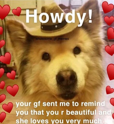 Love Wholesome, Celebrate Everything, Food And Recipes, Pure Love, Love Memes, Having A Bad Day, Bad Day, Trust Me, A Bad