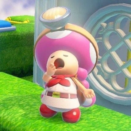 Toad And Toadette Matching Pfp, Toadette Aesthetic, Toadette Pfp, Toad Pfp, Toadette Mario, Toad Mario Bros, Pfp Base, Nintendo World, Nintendo Characters