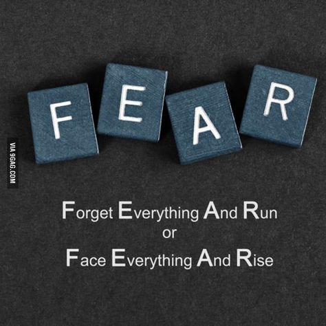 "What is the meaning of FEAR for you?" from Moxie! :D -- It depends. :) If the odds of survival are in my favor, the second. Else, the first! Something I learned in the Military, the Scouts, and my Grandfather before that! Lot of accumulated experience in dealing with fear! ;) :D It's natural! It's hard wired! You can't escape it! Either you learn to accept it and use it, or it controls you! And you will probably die. "A coward dies a thousand deaths. A brave man only once!" Fear Meaning, Face Everything And Rise, Fotografi Alam Semula Jadi, Lesson Quotes, Komik Internet Fenomenleri, New Energy, Quotable Quotes, True Words, The Meaning