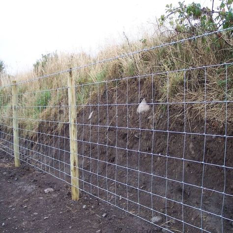 Large Acreage Fencing, Field Fence Ideas, Land Fencing, Field Fencing, Farm Fences, Natural Privacy Fences, Farm Fencing, Agricultural Fencing, Driveway Fence