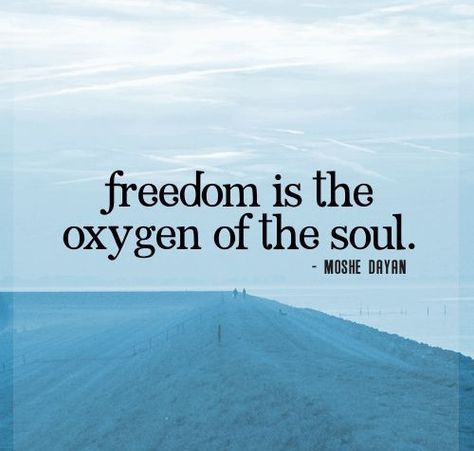 Short Freedom Quotes Freedom Love Quotes, Freedom Quotes Life, Freedom Images, Freedom Pictures, Independent Quotes, Perspective Quotes, Freedom Quotes, Freedom Love, Choices Quotes