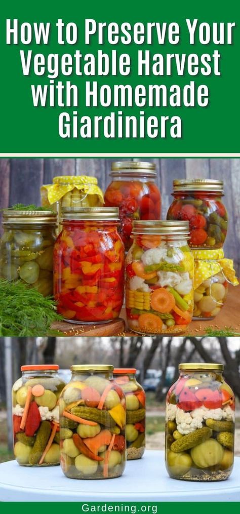 Pickled Vegetables Giardiniera Canning, Canned Giardiniera Recipe, Giardiniera Recipe Canning, Pickled Vegetables Giardiniera, Gardenaire Recipes, Hot Giardiniera Recipe, Canning Giardiniera Recipe, Homemade Giardiniera, Homemade Giardiniera Recipe