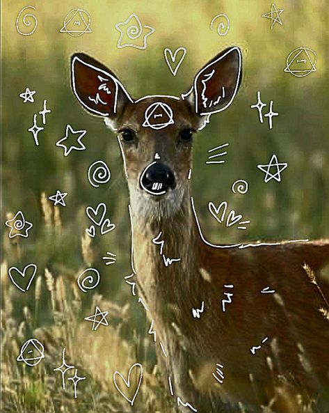 Deer Therian Mask, Deer Therian, Pink Necked Green Pigeon, Therian Ideas, Therian Art, What Animal Are You, Therian Pfp, Deer Wallpaper, Therian Stuff