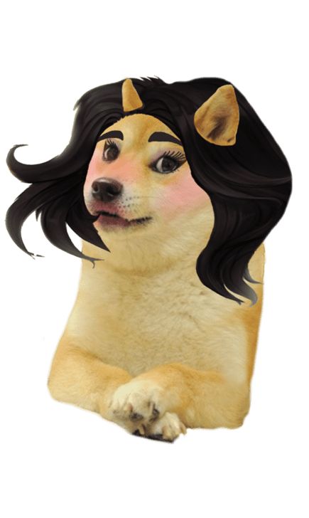 Girl Doge - Indian Meme Templates Cheems Dog Png, Cheems Dog, Indian Meme, Doge Meme, Cute Dog Wallpaper, Dog Png, Dog Wallpaper, Meme Template, Material Girl