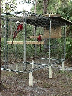 Macaw Aviary Macaw Aviary, Macaw Cage, Diy Rabbit Cage, Diy Bird Cage, Pet Bird Cage, Large Bird Cages, Rabbit Cages, Bird House Kits, Bird Aviary