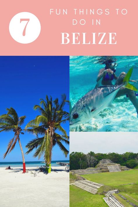 7 Fun Things to Do in Belize - Including Belize Snorkeling - 7 Fun Things to Do in Belize - Including Belize Snorkeling - Belize snorkeling is unmatched and the best snorkeling I’ve ever done. I also got the chance to see stunning islands and eat some of the freshest, tastiest food, so I wanted to share the fun things to do in Belize with my audience. #Belize #CentralAmerica Belize Snorkeling, Things To Do In Belize, Belize Travel Guide, Belize Food, Belize Vacation, Belize Barrier Reef, Belize Beach, Tastiest Food, Belize Vacations