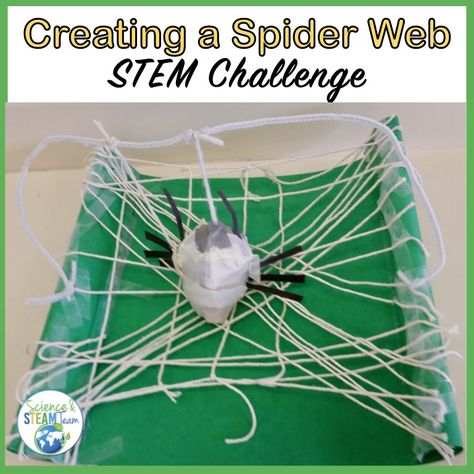 October Science, Spider Lessons, Halloween Theme Preschool, Spider Unit, Halloween Stem Activities, Spooky Science, Halloween Activities Preschool, Stem Activities Preschool, Halloween Stem