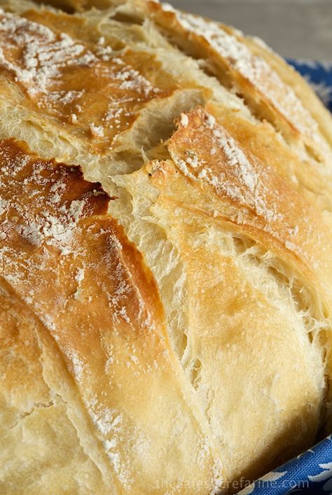 5 Minute Artisan Bread Tutorial. Sound too good to be true? It's not! You'll think your kitchen's been transformed to a European bake shop! Bread Tutorial, Crusty French Bread, A Loaf Of Bread, Pane Dolce, Biscuit Rolls, Loaf Of Bread, Yeast Bread, Easy Bread, Bread And Pastries