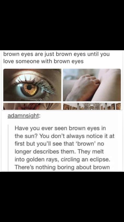 Brown eyes are my favourite! Dark Brown Eyes In Sunlight, Reddish Brown Eyes, Brown Eyes Are Beautiful, Brown Eyes In The Sun, 1st Date Outfit, The Sun Quotes, His Brown Eyes, Golden Brown Eyes, Those Eyes