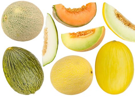 Melon Varieties: A Quick Guide Melon Varieties, Honeydew Melon, Powdery Mildew, Sweet Delights, Sweet Taste, Quick Guide, Honeydew, Kiwi, Melon