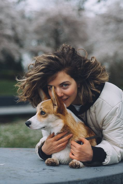 Corgi Photoshoot, Golden Retriever Accessories, Photoshoot With Dog, Family Dog Photos, Dog Emotions, Animal Photoshoot, Blue Wolf, Park Ideas, Dog Spaces