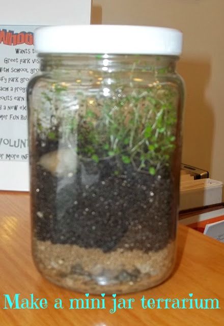 how to make an easy terrarium in a jar for preschool science #terrarium #microbiology Pet Crafts Preschool, Ecosystem In A Jar, Easy Preschool Science, Terrarium In A Jar, Easy Terrarium, Preschool Science Experiments, Science Area, Pet Crafts, Terrarium Jar