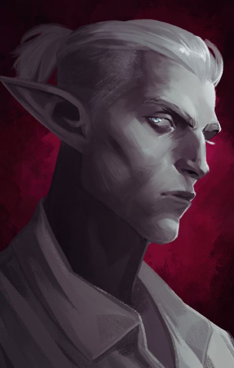 I rolled Roiben as a Pale Elf for my GUNMAGE Cipher playthrough. Pale Elf, Drow Male, Snow Elf, Dnd Npc, Dnd Elves, Male Elf, Pillars Of Eternity, Elf Characters, Elves Fantasy