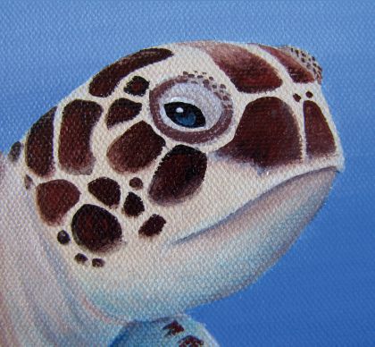 How To Paint A Turtle On Canvas, Sea Turtle Painting Acrylic Easy, Paint A Sea Turtle, Turtle Painting Acrylic, Draw On Canvas, Painted Turtles, Sea Turtle Artwork, Outdoor Mural, Camp Projects