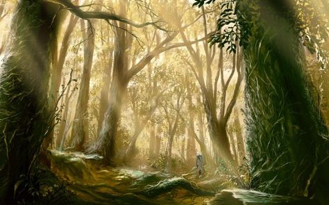 60 Mushishi HD Wallpapers | Background Images - Wallpaper Abyss Couple Drawing, Forest Scenery, Forest Background, Art Manga, Forest Painting, Forest Wallpaper, Wallpaper Free Download, Cool Backgrounds, Background Pictures