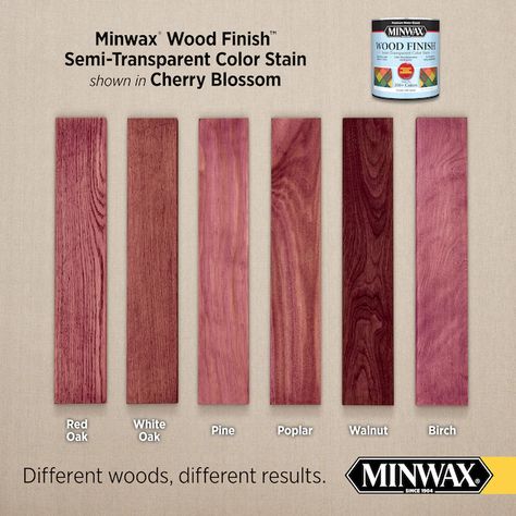 Minwax Wood Finish Water-Based Cherry Blossom Mw1169 Semi-Transparent Interior Stain (1-Quart) in the Interior Stains department at Lowes.com Pink Wood Stain, World Of Possibilities, Unfinished Furniture, Wood Stains, Water Based Stain, White Pine, Wood Stain, Semi Transparent, Staining Wood