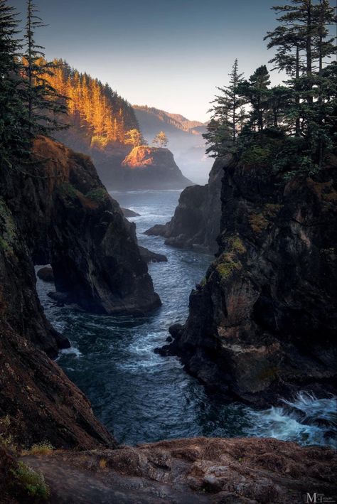 Brookings Oregon, Cool Morning, Adventure Aesthetic, Pretty Landscapes, Oregon Travel, I Want To Travel, Oregon Coast, Nature Aesthetic, Pretty Places